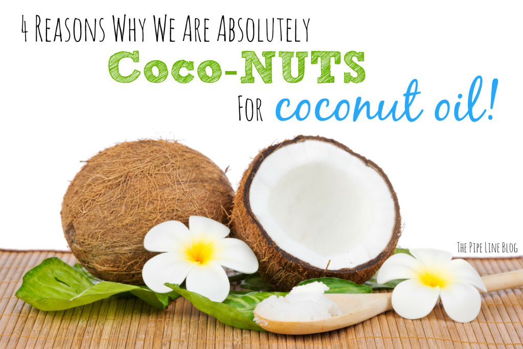 4 Reasons Why We Are Absolutely CocoNUTS for Coconut Oil!