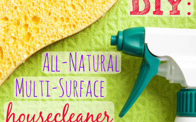 Piping Rock - The Pipe Line - DIY All-Natural Multi-Surface Housecleaner