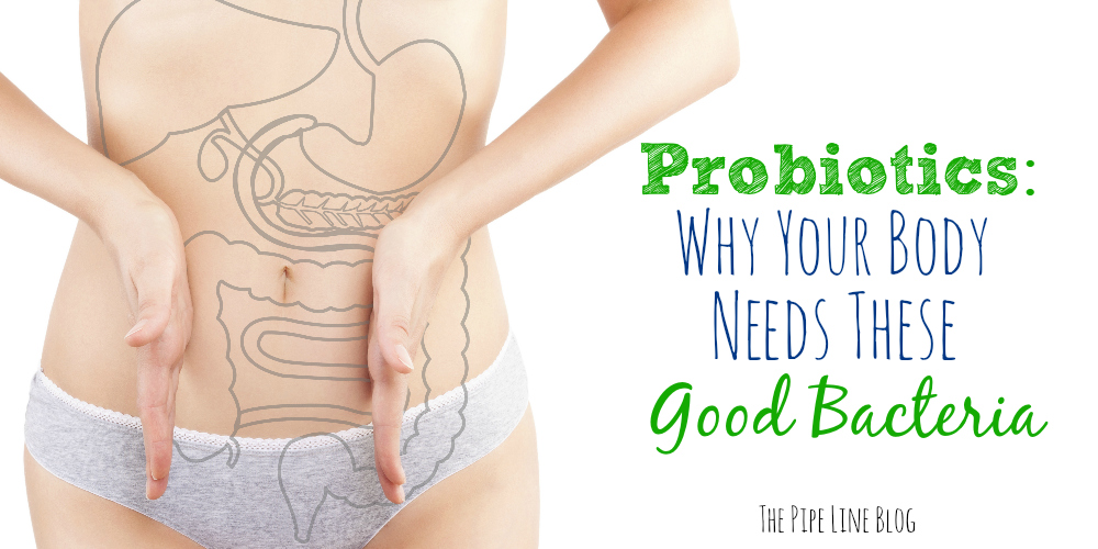 Piping Rock - The Pipe Line - Probiotics: Why Your Body Needs These Good Bacteria