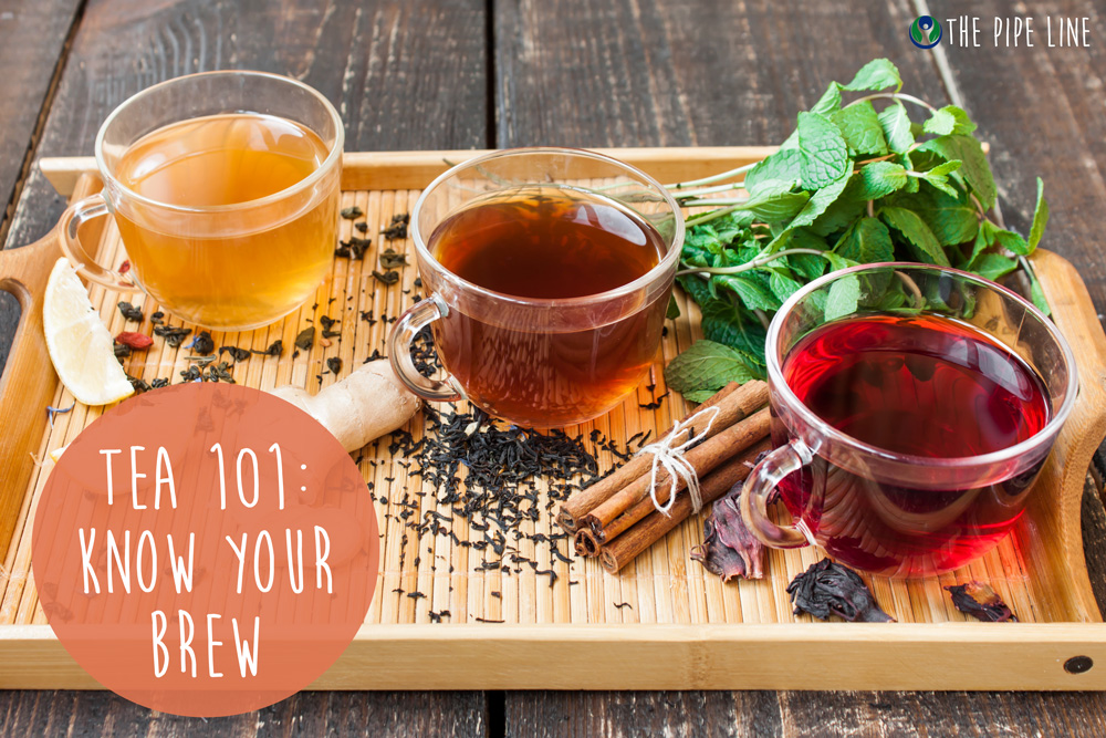 Piping Rock - The Pipe Line - Tea 101 - Know Your Brew