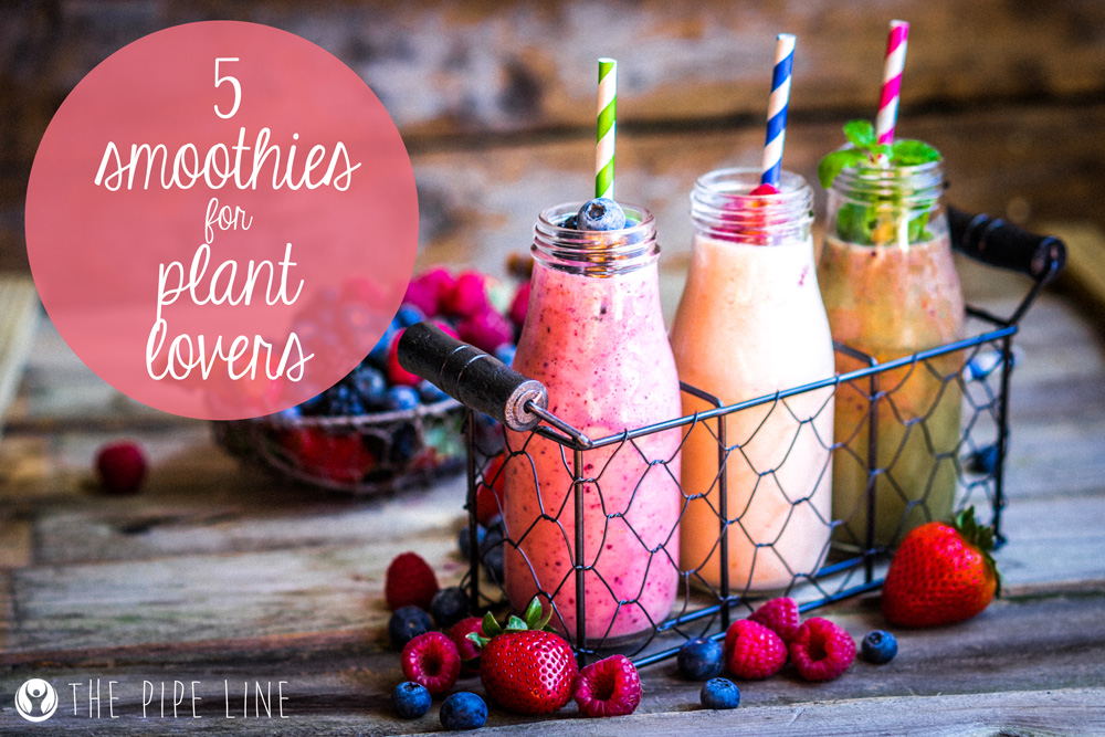 5 Smoothies For Plant Lovers