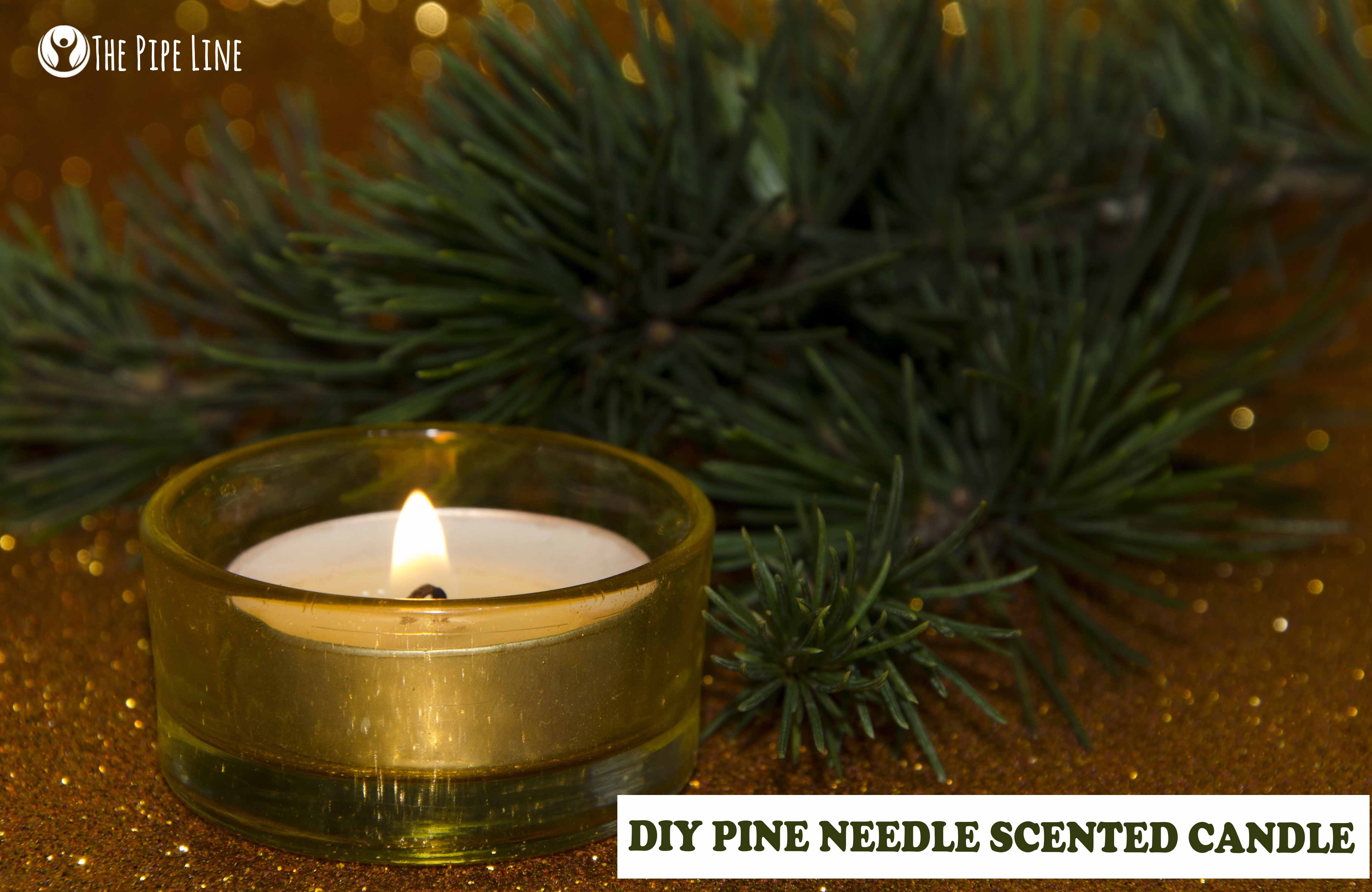 Homemade Pine Needle Candle